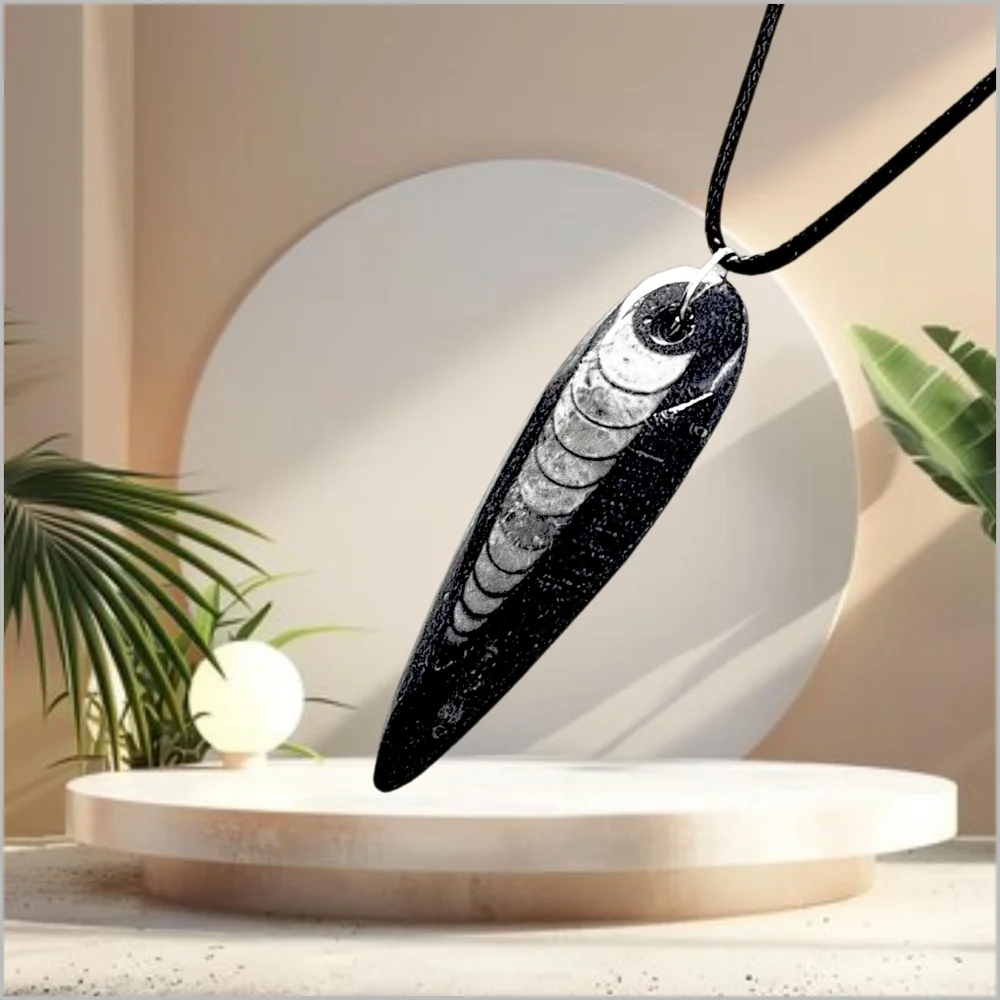 Genuine Fossilized Orthoceras Pendant with Black Cord Necklace
